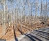 Forest Canopy Way, Clayton, GA - Thumbnail Image #11