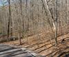 Forest Canopy Way, Clayton, GA - Thumbnail Image #13