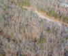 Forest Canopy Way, Clayton, GA - Thumbnail Image #18