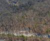 Forest Canopy Way, Clayton, GA - Thumbnail Image #24