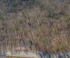 Forest Canopy Way, Clayton, GA - Thumbnail Image #27