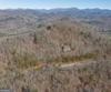 Forest Canopy Way, Clayton, GA - Thumbnail Image #45