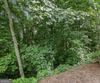Lot G1 Waterfall DR, Clayton, GA - Thumbnail Image #9