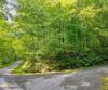 Charmont, Tiger, GA - Thumbnail Image #2