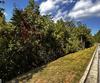 Lot J-12 Winterberry Trl, Clayton, GA - Thumbnail Image #6