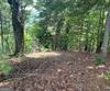 Lot 29 Lake Rabun Bluffs DR, Lakemont, GA - Thumbnail Image #3
