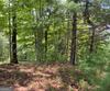Lot 29 Lake Rabun Bluffs DR, Lakemont, GA - Thumbnail Image #4