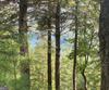 Lot 29 Lake Rabun Bluffs DR, Lakemont, GA - Thumbnail Image #5
