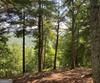 Lot 29 Lake Rabun Bluffs DR, Lakemont, GA - Thumbnail Image #6