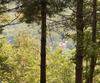 Lot 29 Lake Rabun Bluffs DR, Lakemont, GA - Thumbnail Image #7