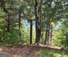 Lot 29 Lake Rabun Bluffs DR, Lakemont, GA - Thumbnail Image #9