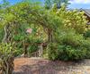 115 Sunset DR, Tiger, GA - Thumbnail Image #65