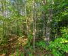 Grey Fox Trail B11, Clayton, GA - Thumbnail Image #19