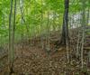 Grey Fox Trail B11, Clayton, GA - Thumbnail Image #20