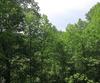 29/55 Cool Spring LN, Clayton, GA - Thumbnail Image #50