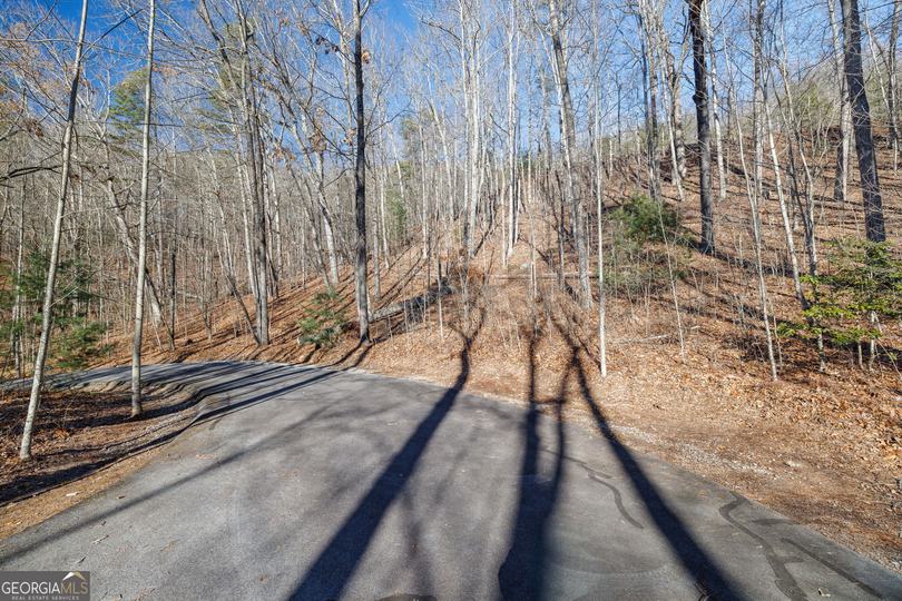 Forest Canopy Way, Clayton, GA - Image #3