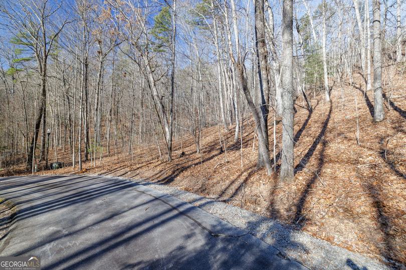 Forest Canopy Way, Clayton, GA - Image #4