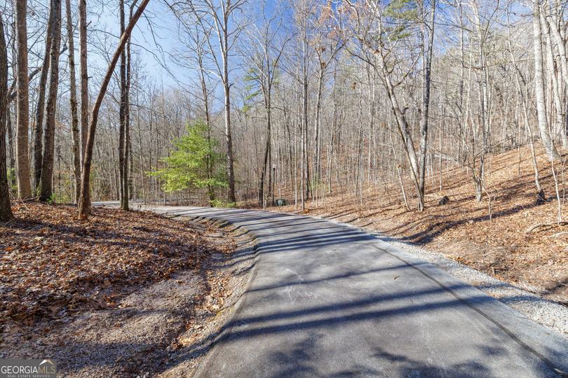 Forest Canopy Way, Clayton, GA - Image #5