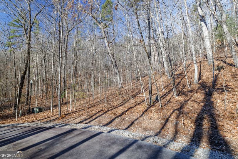 Forest Canopy Way, Clayton, GA - Image #6