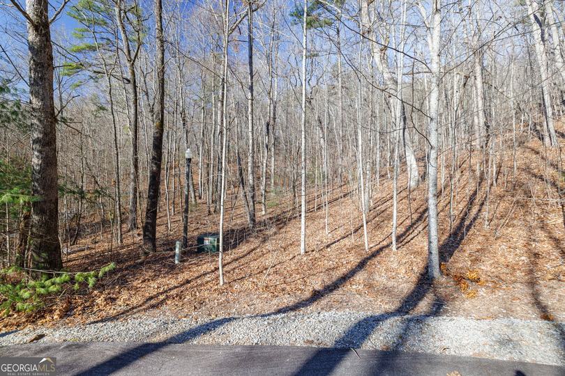 Forest Canopy Way, Clayton, GA - Image #7