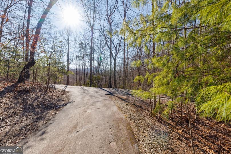 Forest Canopy Way, Clayton, GA - Image #10