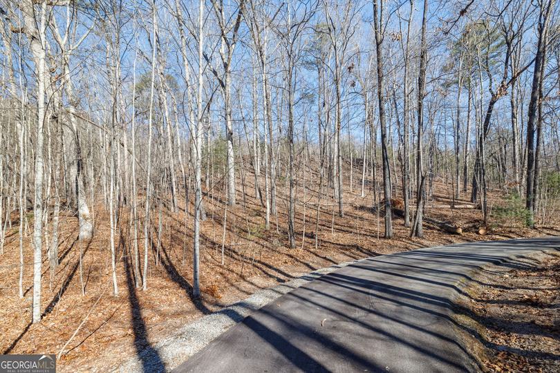 Forest Canopy Way, Clayton, GA - Image #11