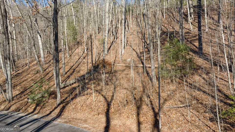 Forest Canopy Way, Clayton, GA - Image #12