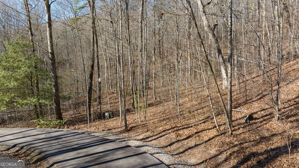 Forest Canopy Way, Clayton, GA - Image #13