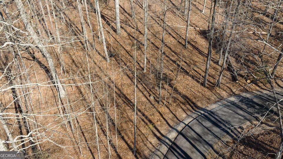 Forest Canopy Way, Clayton, GA - Image #14