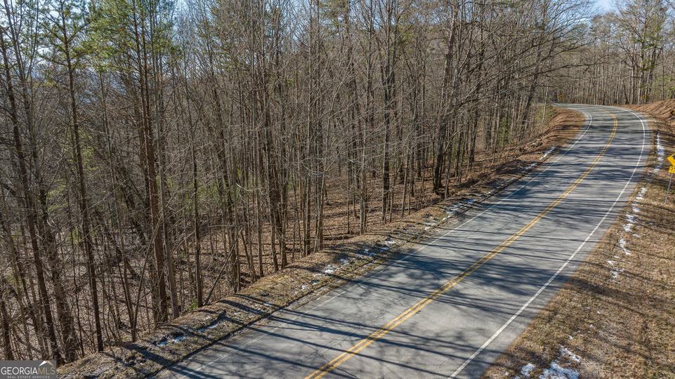 Forest Canopy Way, Clayton, GA - Image #16