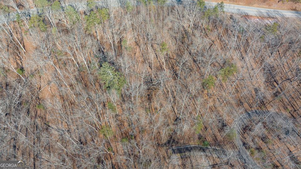 Forest Canopy Way, Clayton, GA - Image #17