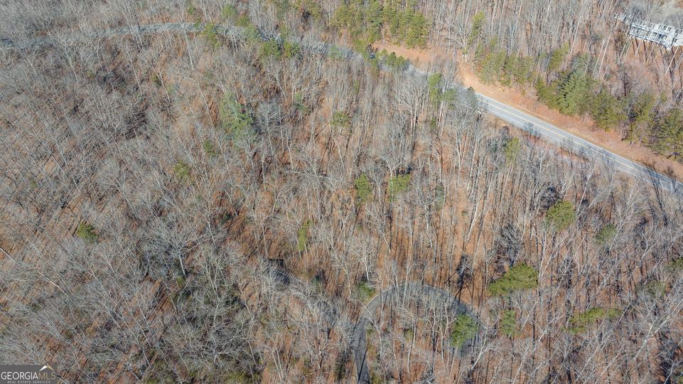 Forest Canopy Way, Clayton, GA - Image #18