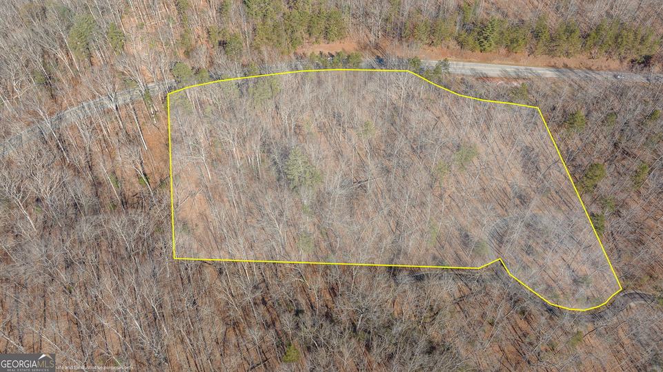 Forest Canopy Way, Clayton, GA - Image #20