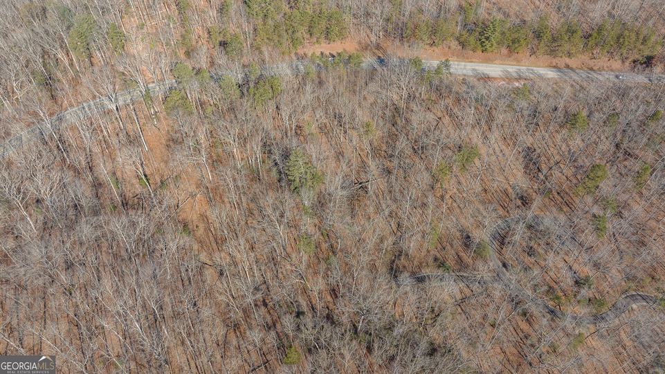 Forest Canopy Way, Clayton, GA - Image #21