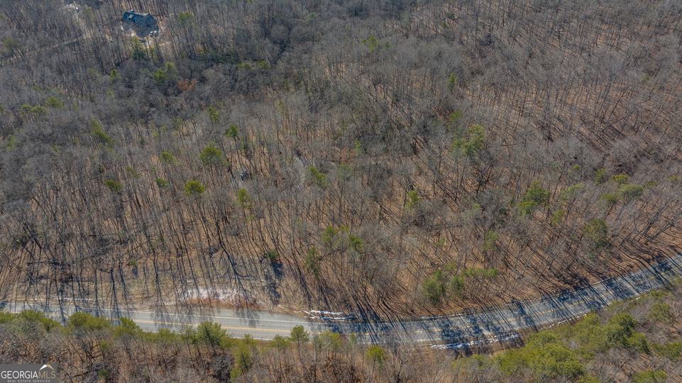 Forest Canopy Way, Clayton, GA - Image #24