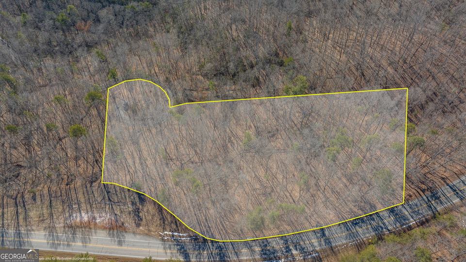 Forest Canopy Way, Clayton, GA - Image #26