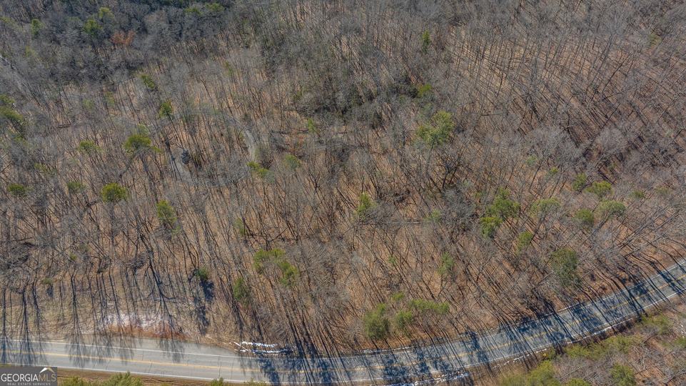 Forest Canopy Way, Clayton, GA - Image #27