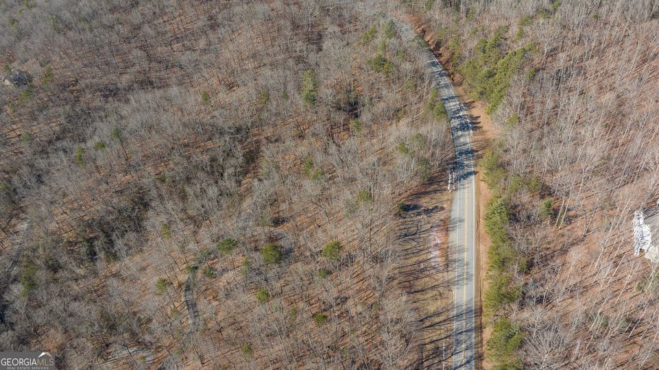 Forest Canopy Way, Clayton, GA - Image #30