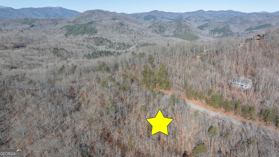 Forest Canopy Way, Clayton, GA - Image #31