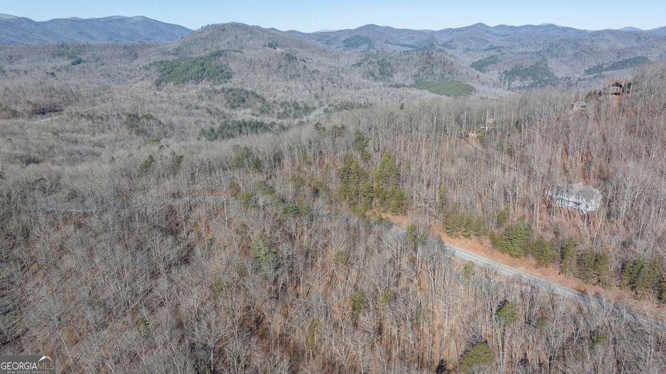 Forest Canopy Way, Clayton, GA - Image #32