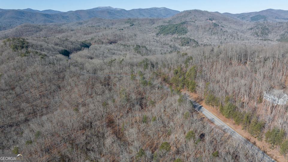 Forest Canopy Way, Clayton, GA - Image #34