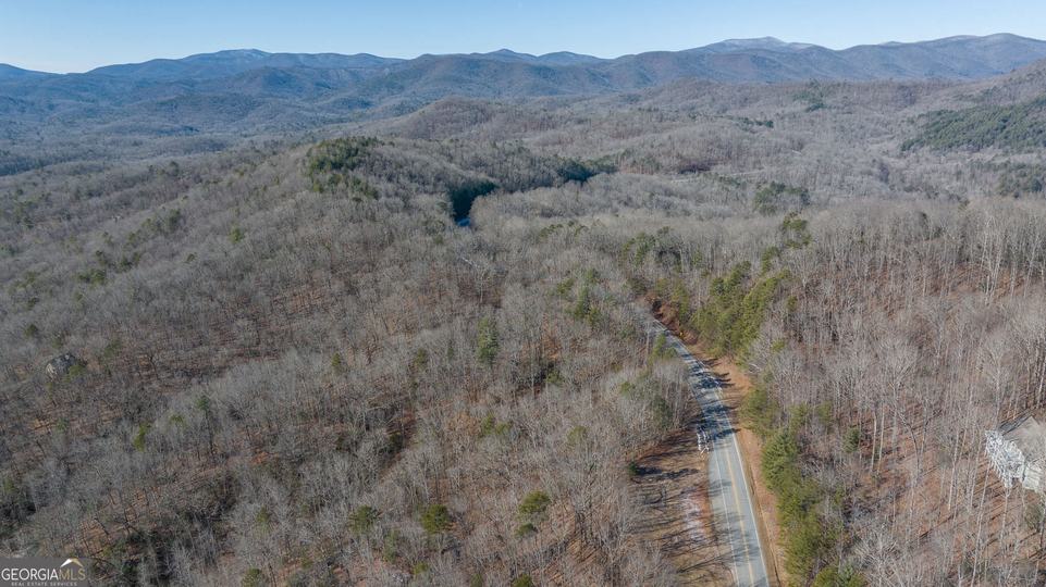 Forest Canopy Way, Clayton, GA - Image #36