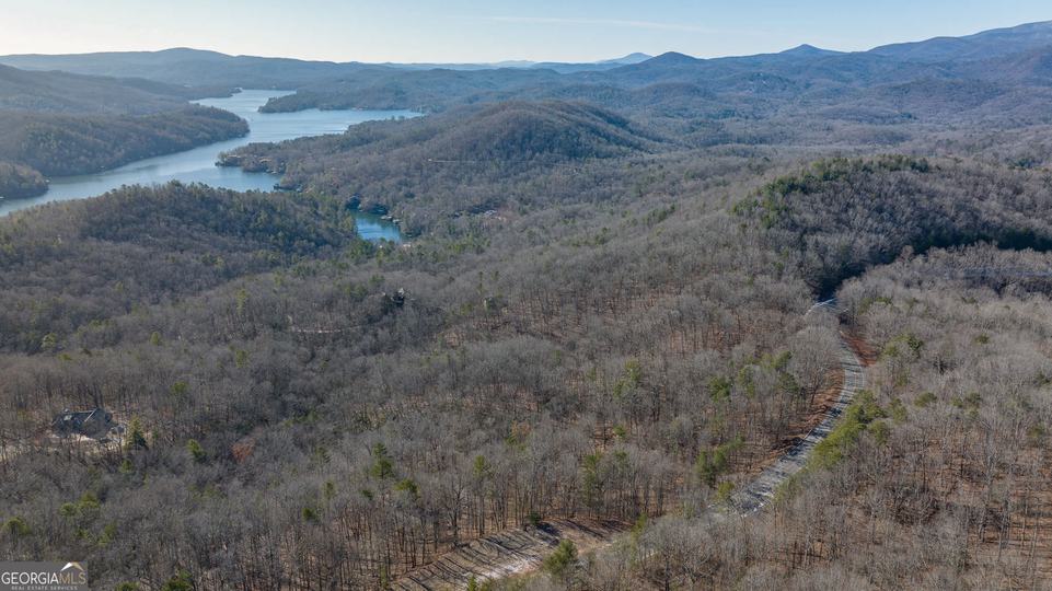 Forest Canopy Way, Clayton, GA - Image #38