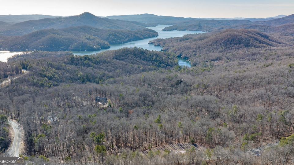Forest Canopy Way, Clayton, GA - Image #40