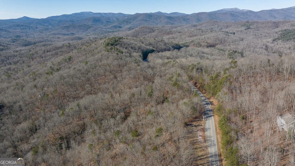 Forest Canopy Way, Clayton, GA - Image #42