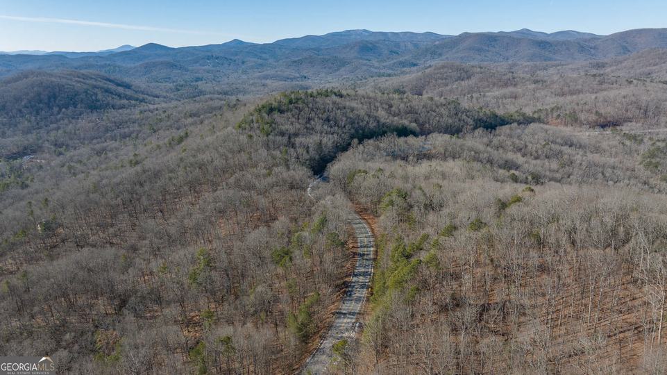 Forest Canopy Way, Clayton, GA - Image #43