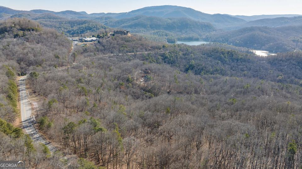 Forest Canopy Way, Clayton, GA - Image #48