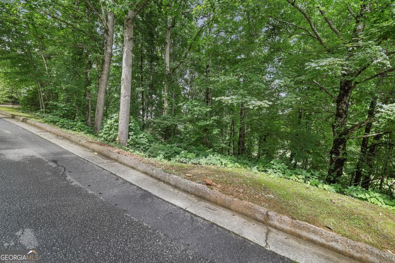 Lot G1 Waterfall DR, Clayton, GA - Image #7