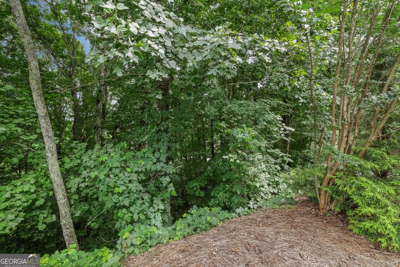 Lot G1 Waterfall DR, Clayton, GA - Image #9