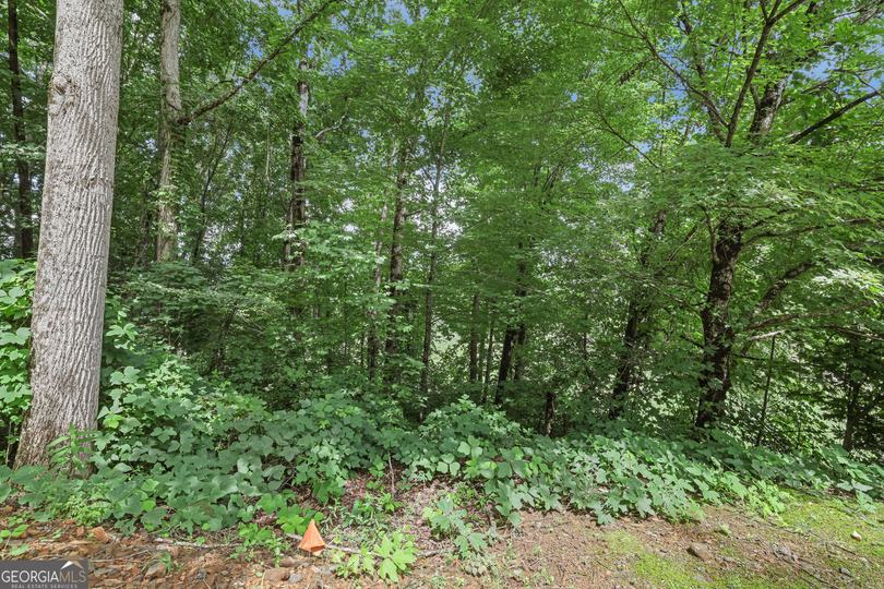 Lot G1 Waterfall DR, Clayton, GA - Image #10